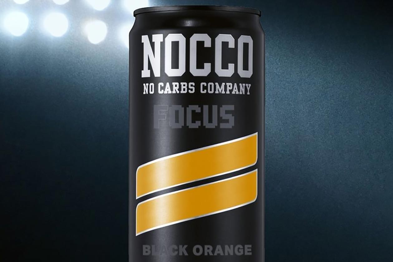 Black Orange Nocco Focus