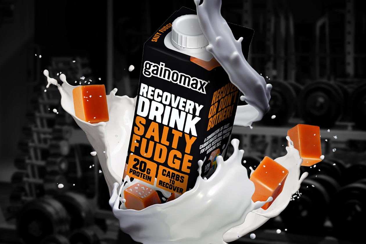 Gainomax Salty Fudge Recovery Drink