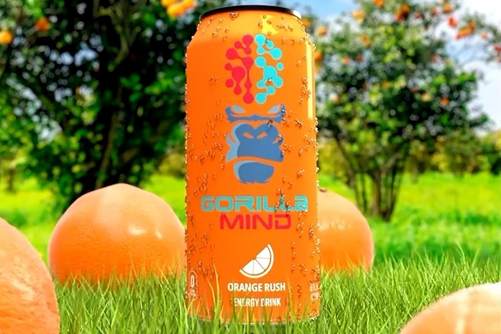 Orange Crush Gorilla Mind Energy