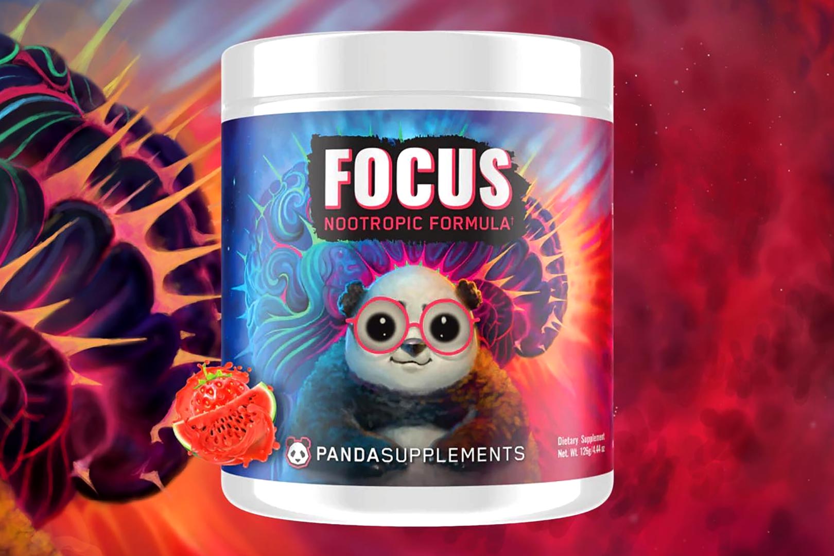 Panda Strawberry Watermelon Focus