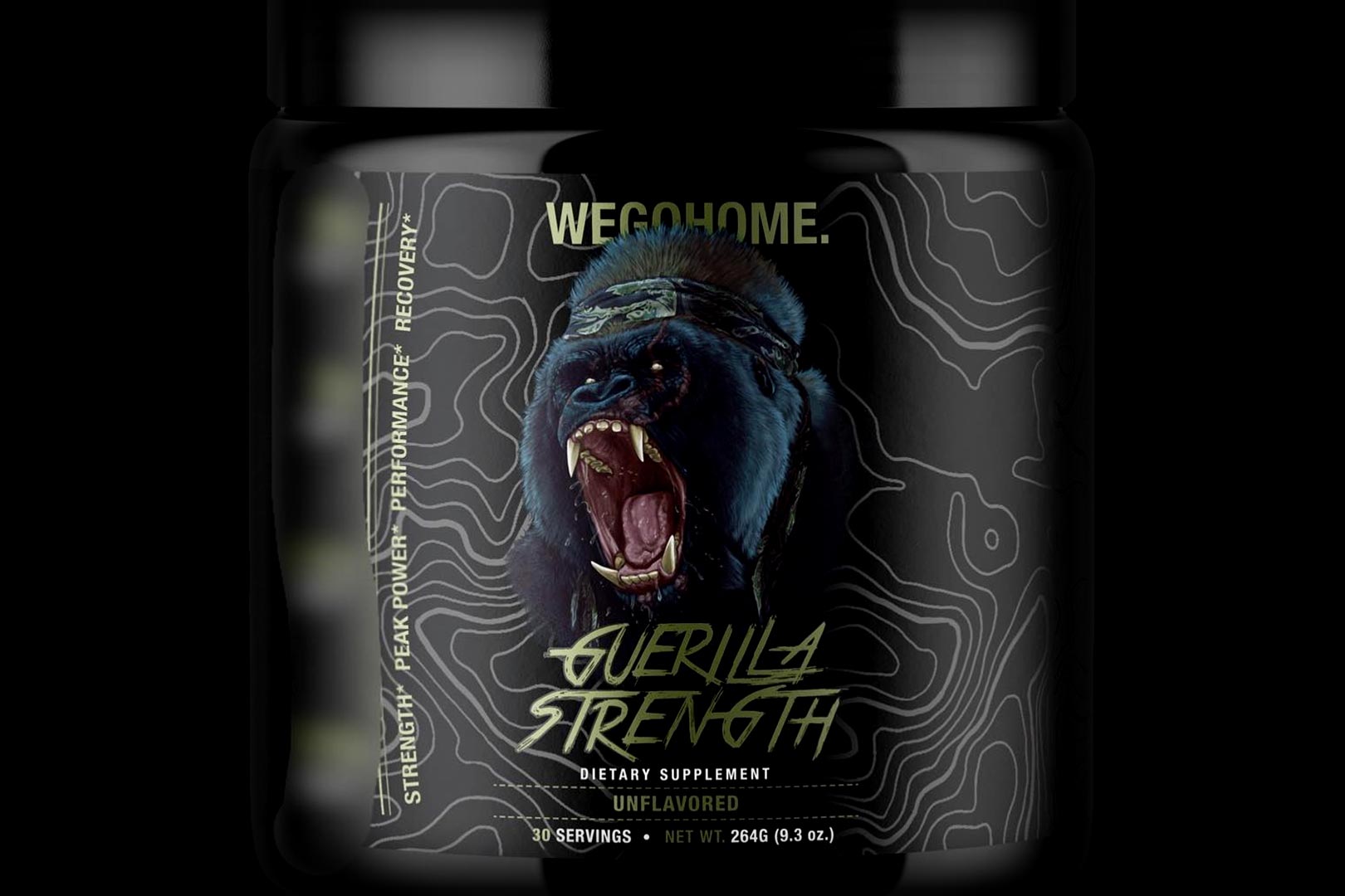 We Go Home Reveals Guerilla Strength