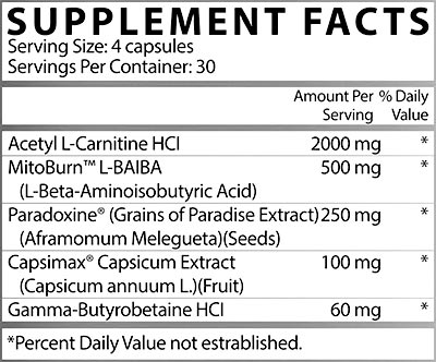 Apollon Nutrition Molotov V2 Label