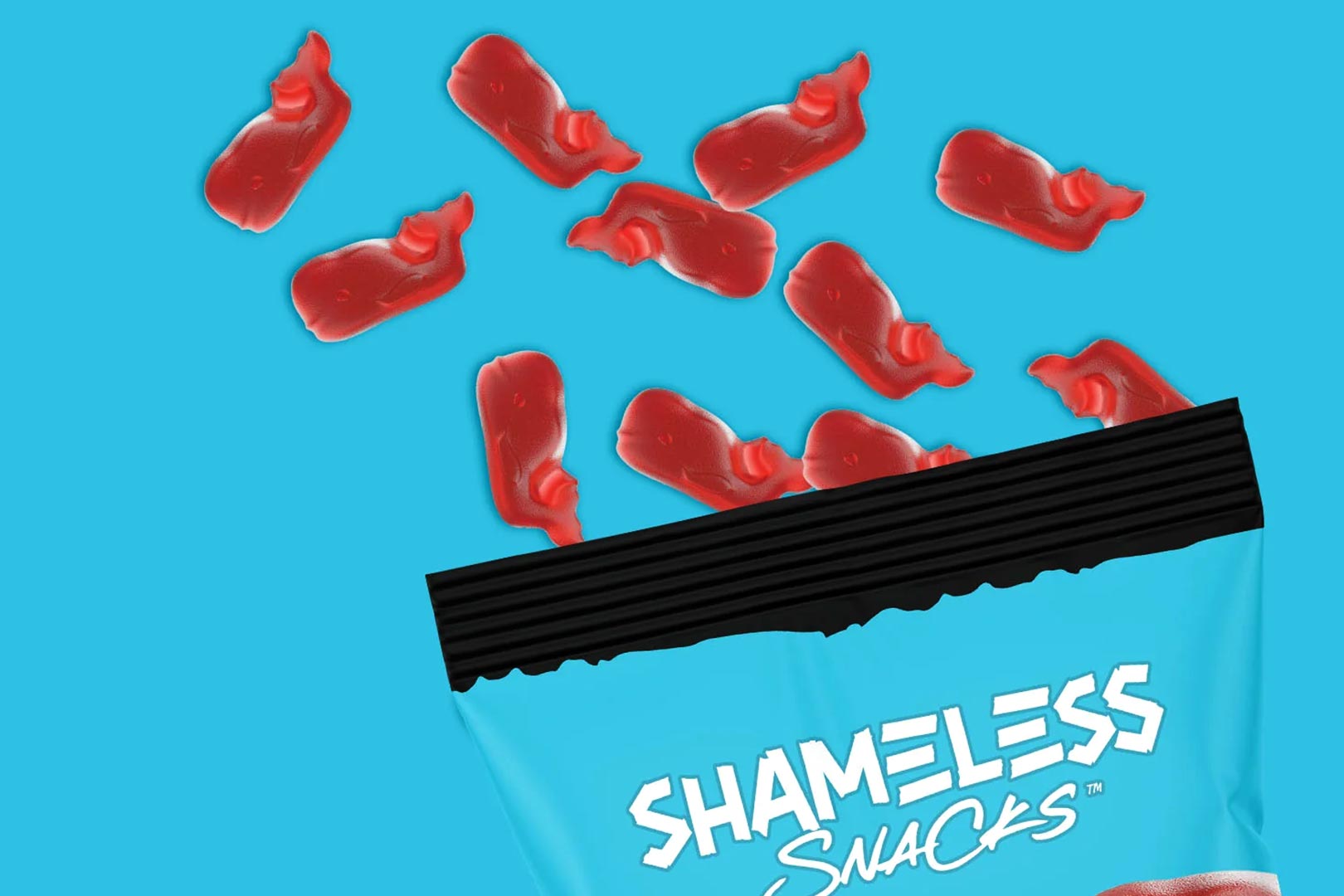 Shameless Snacks Wunderlicious Whales