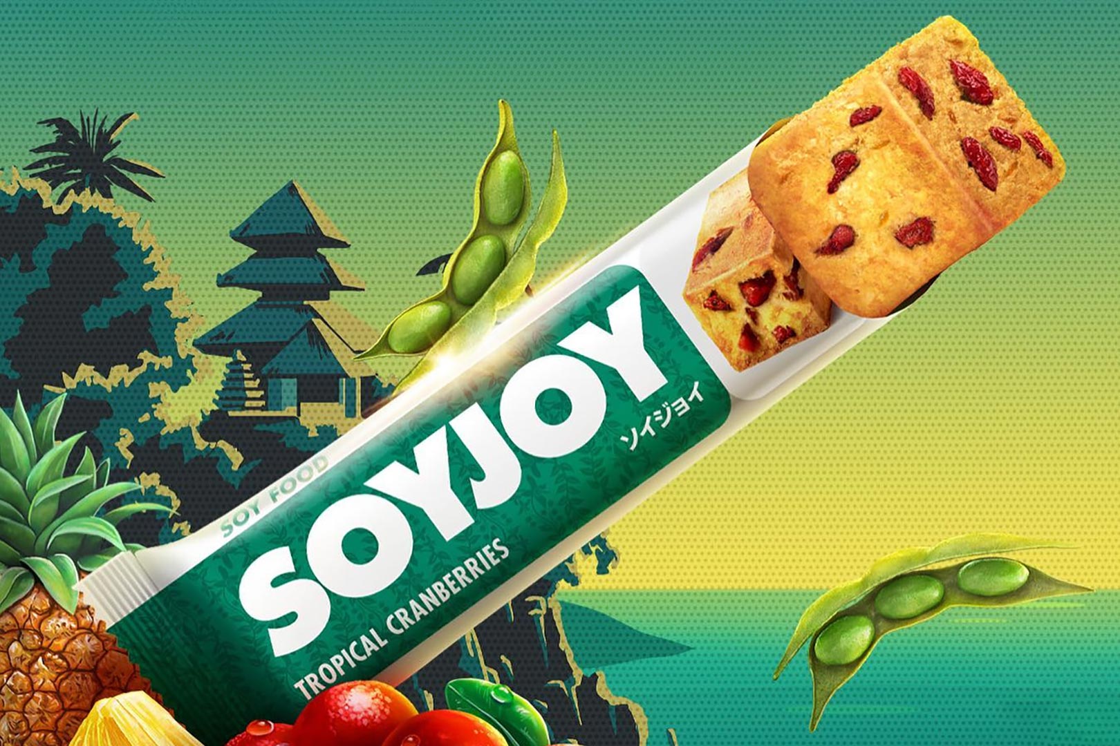 Tropical Cranberries Soyjoy Protein Bar