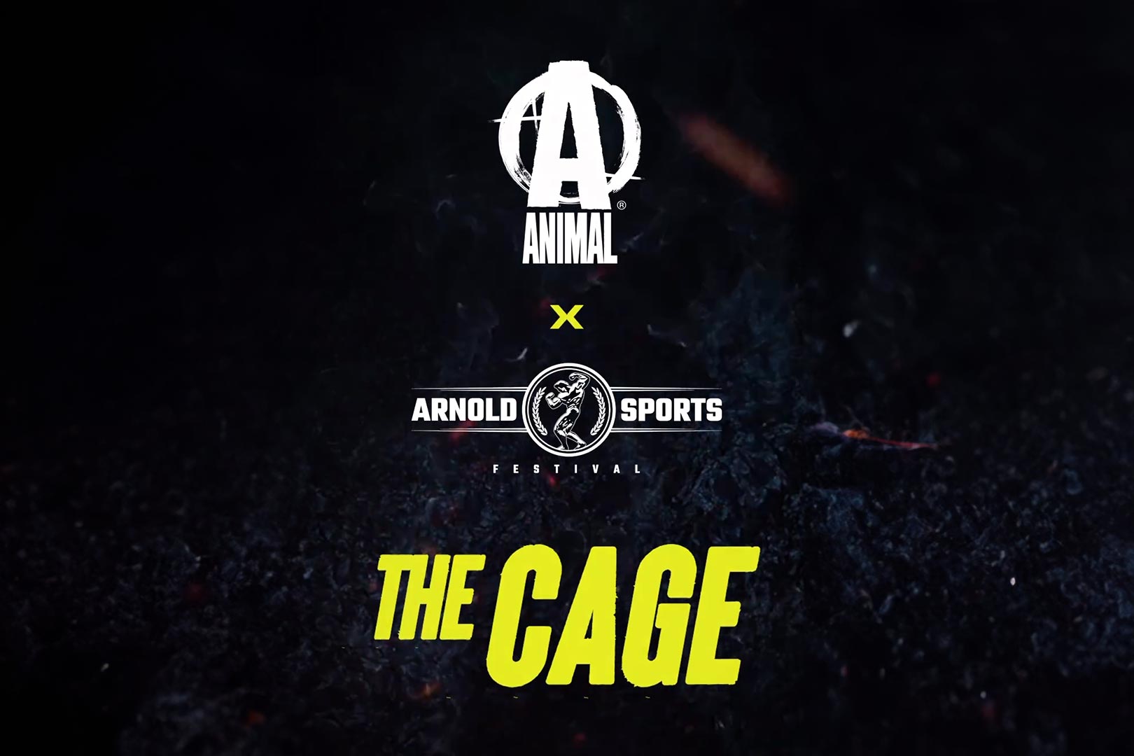 Animal Return Of The Cage