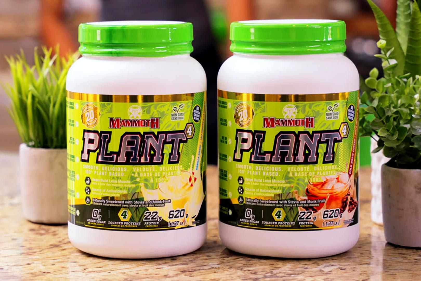 Mammoth Plant Protein Powder