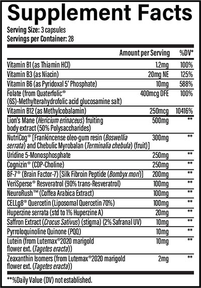 Infinis Brain Label