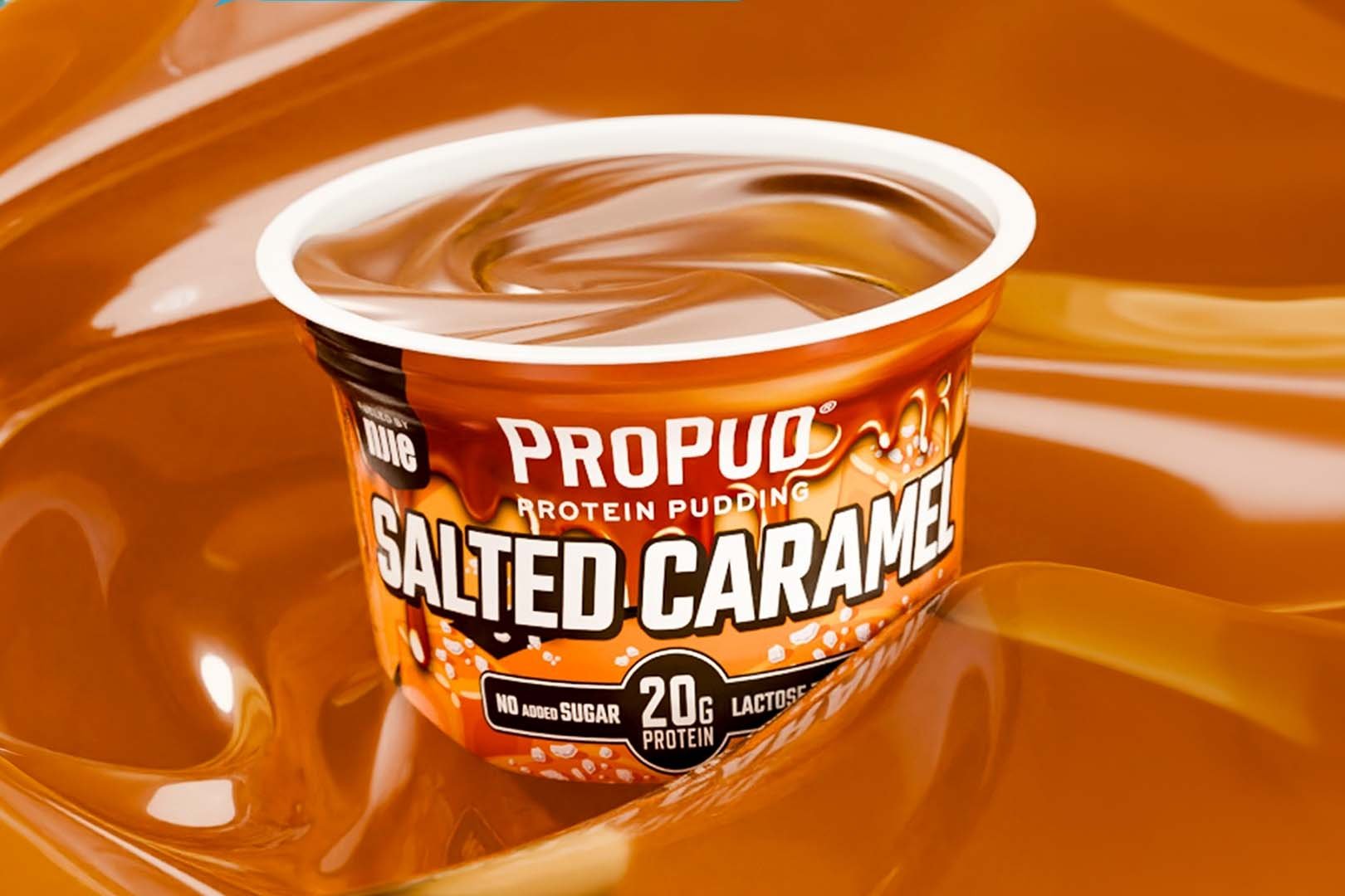Salted Caramel Propud Protein Pudding
