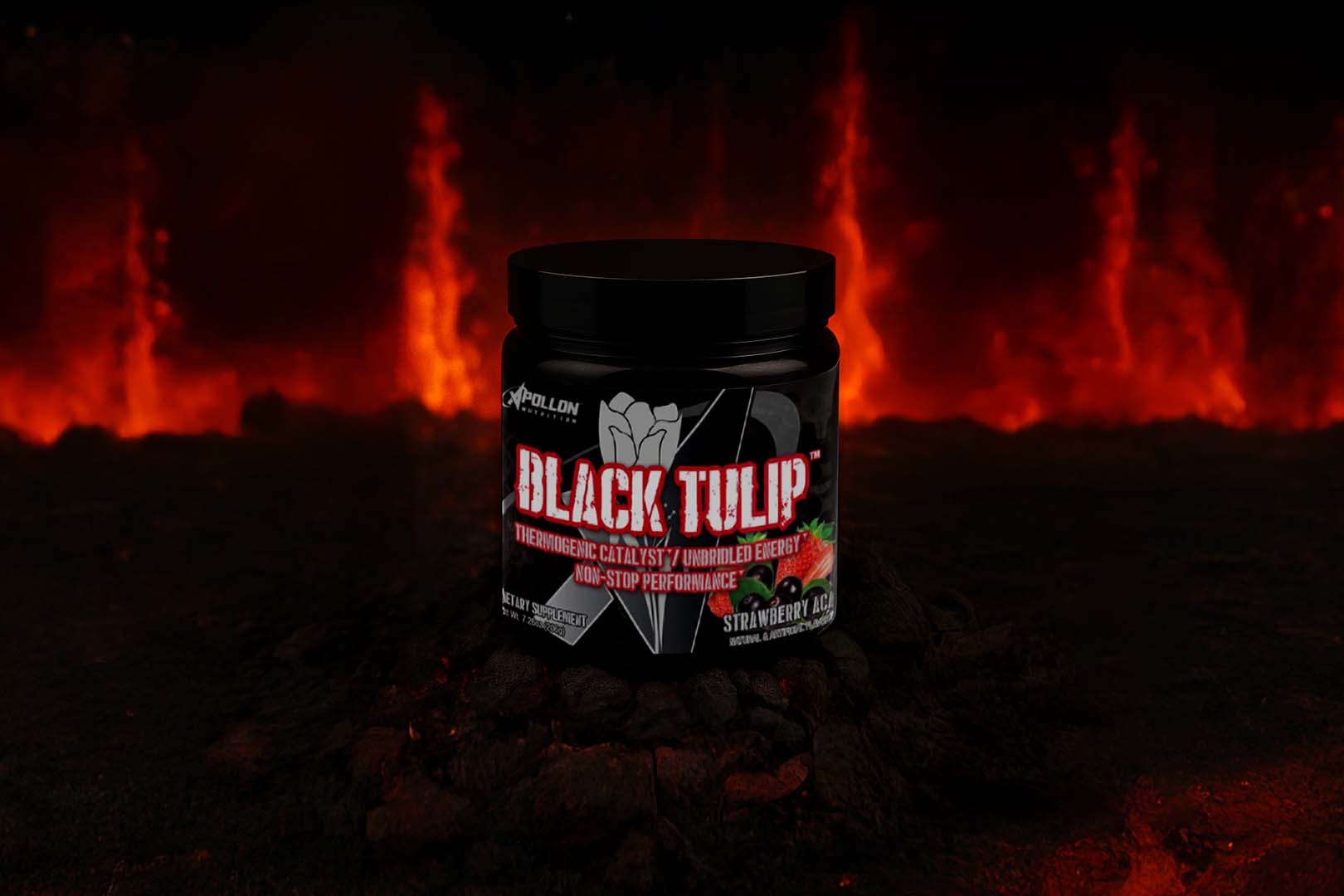 Apollon Nutrition Black Tulip Return