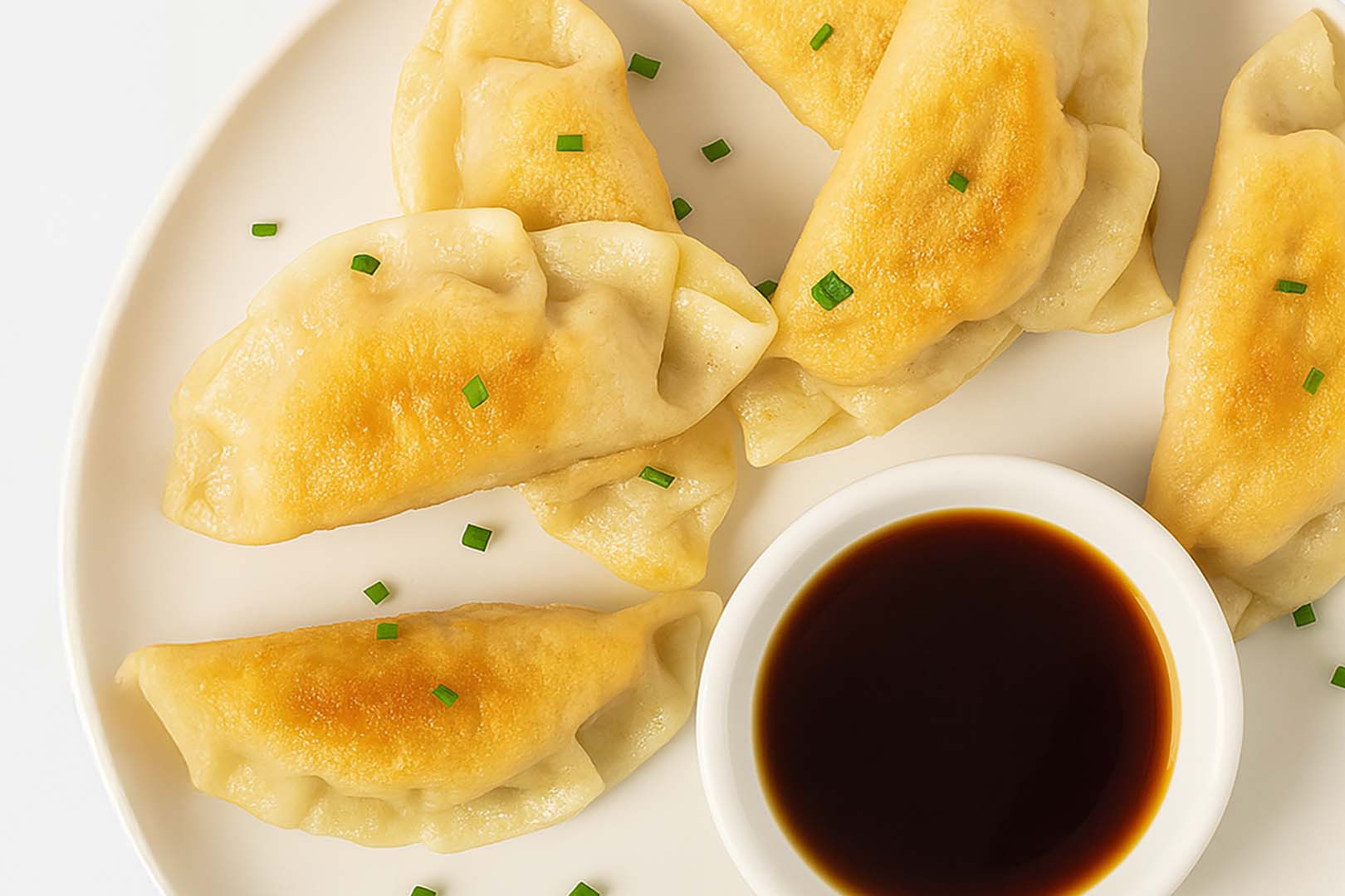 Fropro Protein Dumplings 1