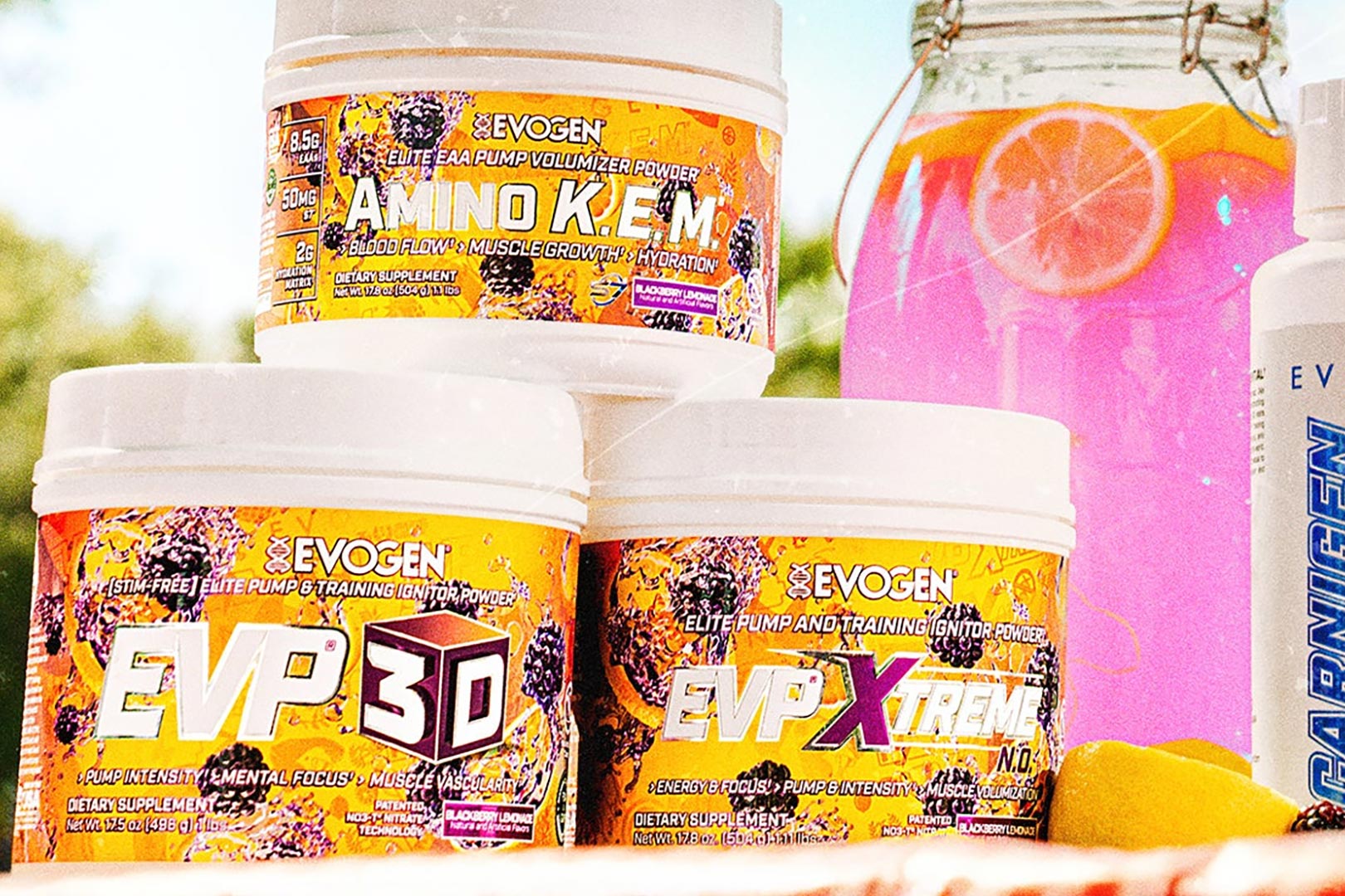 Evogen Blackberry Lemonade Flavor Series