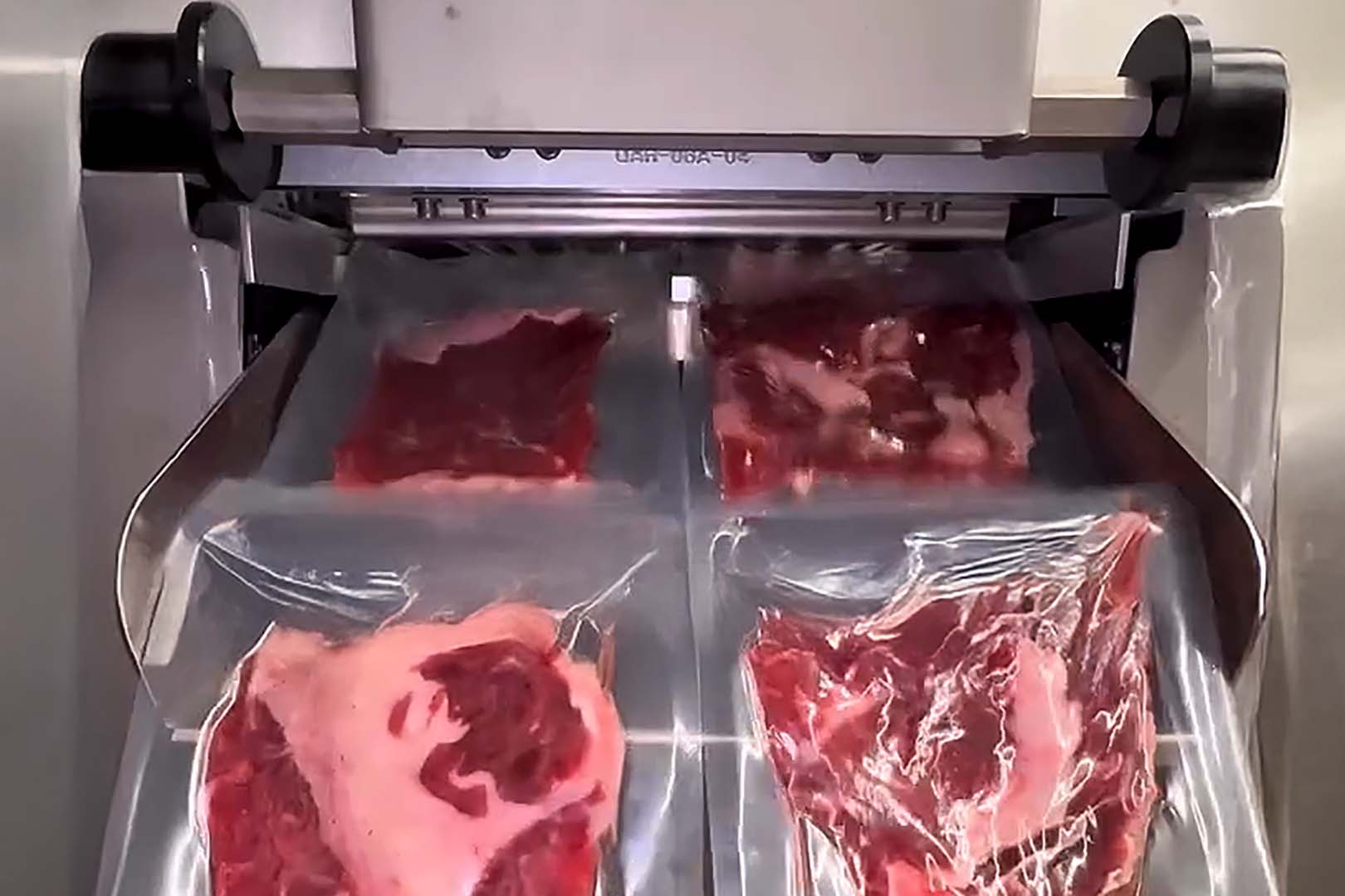 Impeccable Looking To Expand To Beef