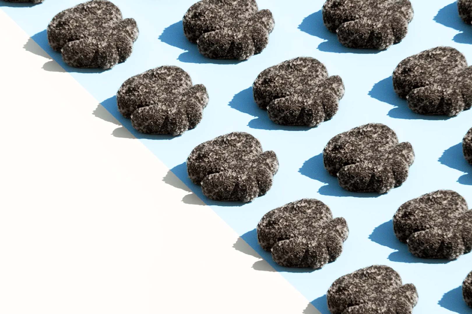 Pandy Salty Squids