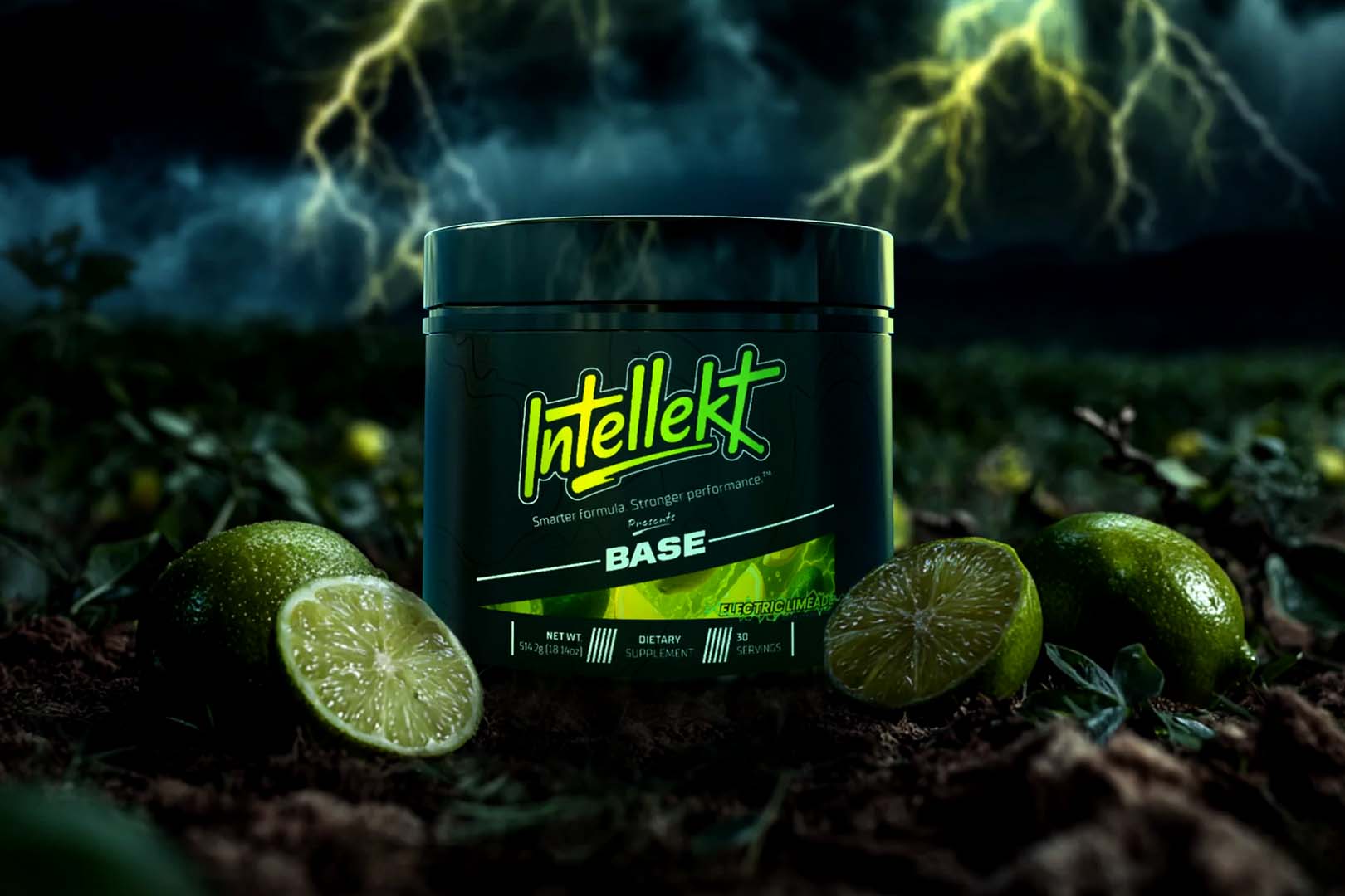 Introducing Intellekt