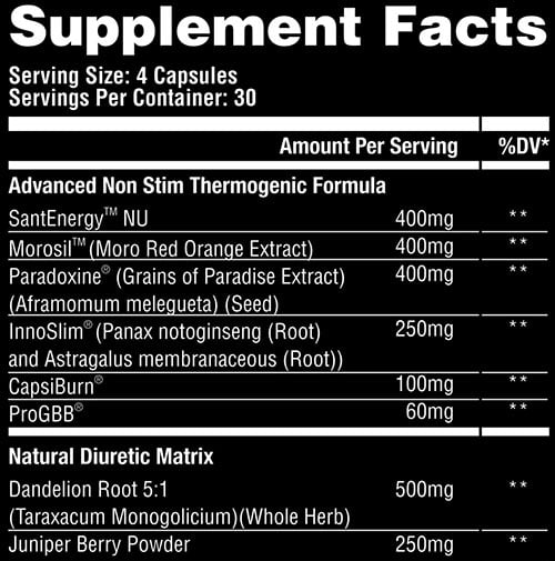 Apollon Nutrition Molotov V4 Label