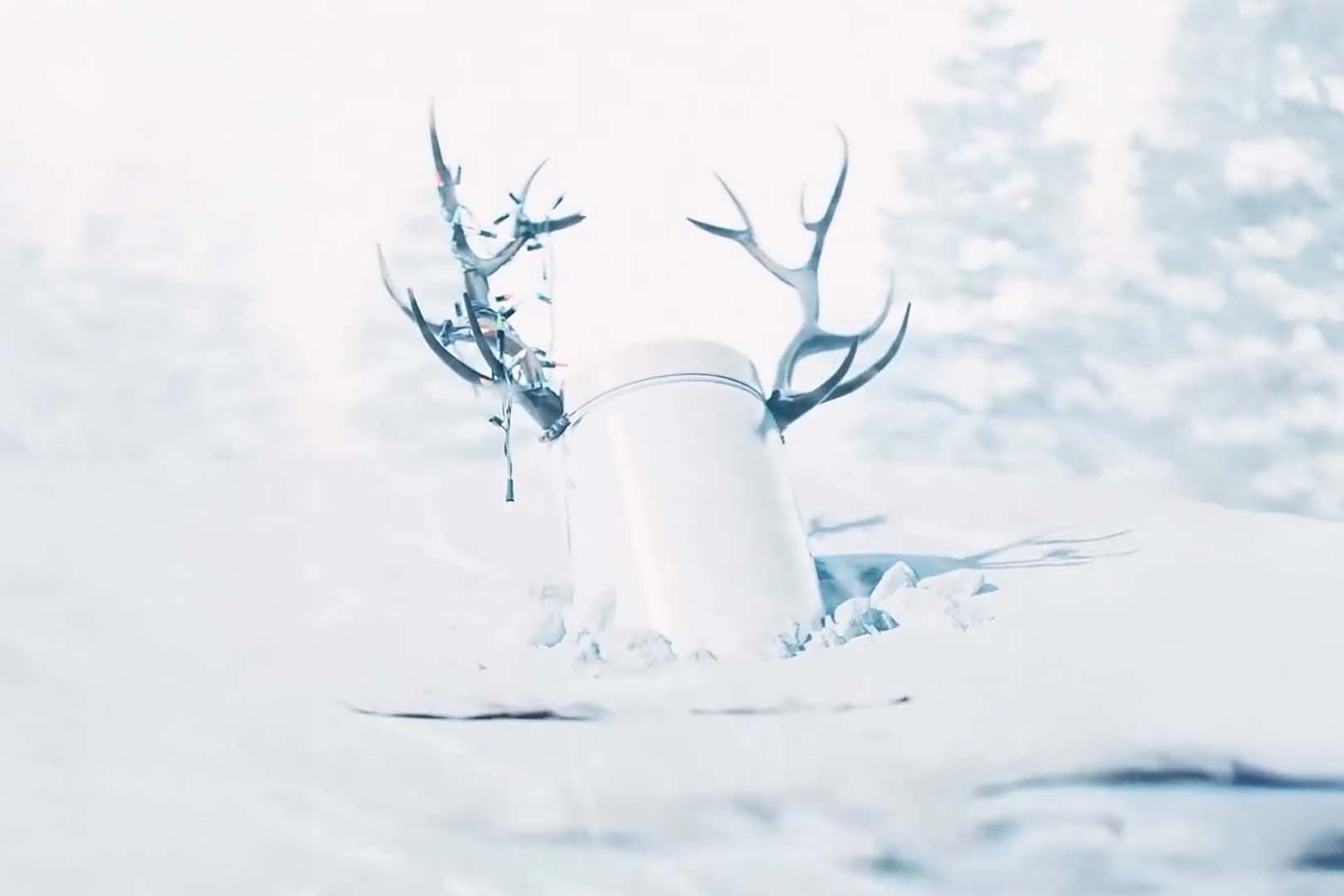 Panda Supplements Teases Panta Return