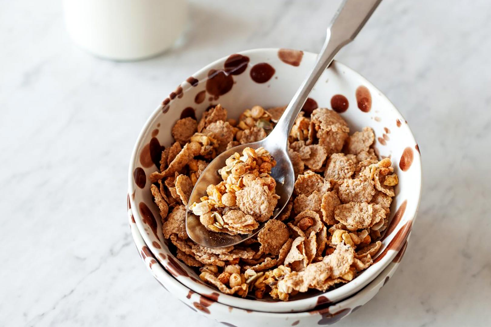 Turtle Protein Granola