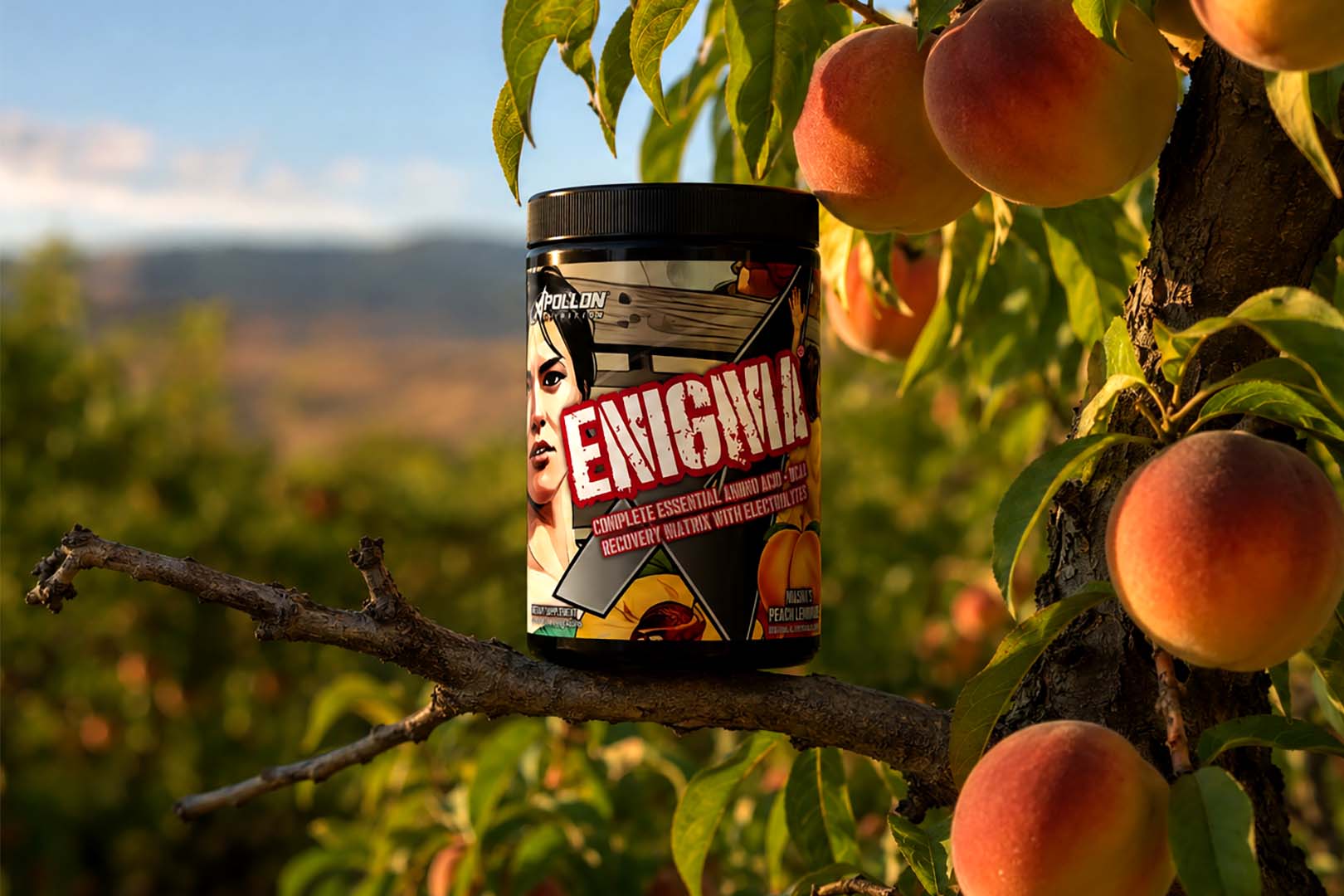 Apollon Nutrition and Masha's Enigma Peach Lemonade amino